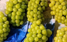 Việt Nam chi hàng trăm triệu USD nhập khẩu nho tươi Trung Quốc
