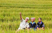 Không phải Bali hay Nhật Bản, Việt Nam "cứu rỗi" khách Tây theo cách chẳng ai ngờ tới