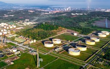 "Ông lớn" dầu khí Việt Nam liên tiếp báo tin vui