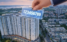 Cách tra cứu mã định danh bất động sản cá nhân, người dân cần biết rõ một điều