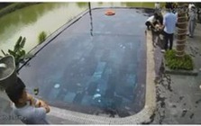 Đang đi nghỉ dưỡng, bác sĩ Bạch Mai kịp thời cứu bé 3 tuổi bị đuối nước