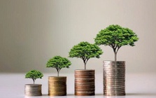 Loạt doanh nghiệp chốt quyền trả cổ tức trong tuần từ ngày 30/3-3/4