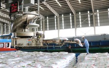 Hai 'ông lớn' Việt Nam đang nắm giữ át chủ bài giữa cảnh Hormuz gây đứt gãy chuỗi cung ứng phân bón toàn cầu