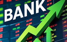 Một ngân hàng chuẩn bị triển khai trả cổ phiếu thưởng tỷ lệ 20%