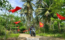 Thích mê rừng dừa xanh mướt nơi xã đảo Tam Hải