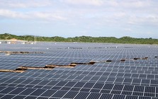 Dự án năng lượng tái tạo “mắc cạn”: Nhà đầu tư yêu cầu minh bạch