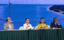 Đầu tư dự án hàng tỷ đô la nhưng bán điện thu VND, Chủ tịch REE chỉ ra rủi ro khiến các dự án điện gió gặp khó