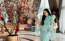 Mỹ nhân Vbiz sống trong biệt thự 1000m2 lộng lẫy như cung điện, đi mỏi chân vẫn không hết