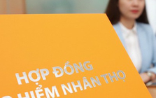 Công ty bảo hiểm nhân thọ bất ngờ bị khách khởi kiện đòi hủy hợp đồng và lấy lại toàn bộ 280 triệu sau 3 năm