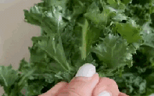 "Vua rau xanh" bán đầy chợ Việt, giàu chất xơ, càng ăn da càng đẹp, chị em đua nhau mua