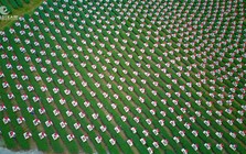 Đôi Dép - Khi con đường không có đèn đỏ