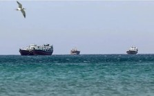 Hơn 10% đội tàu container toàn cầu bị kẹt ở eo biển Hormuz
