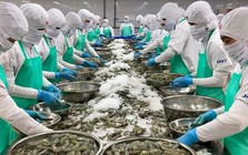 Doanh nghiệp xuất khẩu thủy sản ứng phó với căng thẳng tại Trung Đông