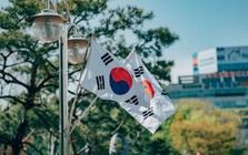 Chứng khoán Hàn Quốc bật tăng 12% ngay đầu phiên sau cú rơi lịch sử