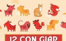 Năm 2026: 3 con giáp được dự báo sẽ mang lại vận may tài chính cho cả nhà