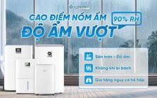 Cao điểm trời mưa nồm ẩm - Máy hút ẩm trở thành cứu tinh