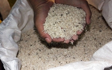 5 kiểu bảo quản gạo của người Việt làm tăng tốc độ hư hỏng, cơm không ngon mà còn dễ khiến cả nhà mắc bệnh