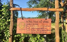 Xác minh hoạt động tôn giáo tại ‘nông trại Hồ Vàng’ sau vụ ông Thích Nhuận Đạt