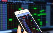 Một nhà đầu tư chứng khoán ở Thanh Hóa bị phạt 1,5 tỉ đồng