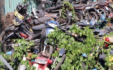 Tìm chủ 13 xe máy "bị bỏ rơi" ở TP HCM