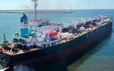 Việt Nam đón tin cực vui từ Nga và châu Âu