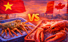 Thị trường ‘tỷ đô’ của Trung Quốc đảo chiều: Trong lúc Canada chờ giảm thuế, Việt Nam đã soán ngôi số 1