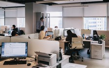 Tưởng AI sẽ thay lao động phổ thông trước, nhưng dữ liệu mới lại chỉ sang một nhóm nghề khác