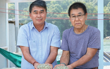 Sau biến cố siêu bão, lão nông Việt nuôi “kho báu” dưới nước, mỗi năm thu về 150 tỷ đồng