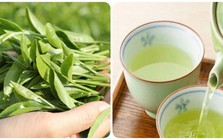 Thời điểm uống nước trà xanh tốt nhất cho sức khỏe