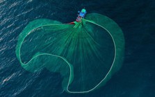 Loạt dự báo bất ngờ về thị trường chứng khoán sau phiên giảm điểm kỷ lục