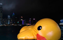 Vì sao nhiều người rất thông minh lại không hạnh phúc?