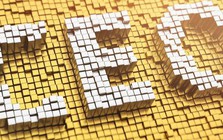 Phê duyệt Chương trình đào tạo, bồi dưỡng 10.000 giám đốc điều hành