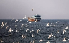 Iran chỉ cho phép tối đa 15 tàu đi qua eo biển Hormuz mỗi ngày