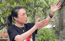 Thứ quý giá nhất trong biệt phủ nghìn mét vuông của Mỹ Tâm