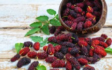 Loại quả mọc dại ở Việt Nam: rẻ hơn 30 lần việt quất nhưng dinh dưỡng lại tương đương