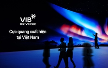 Trải nghiệm đặc quyền dành riêng cho khách hàng ưu tiên của VIB