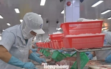 Cả vùng Đồng bằng sông Cửu Long chỉ có 24 tỷ USD vốn FDI