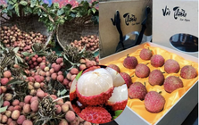 Loại quả ở Việt Nam bán rẻ như cho bỗng thành hàng hiệu xuất ngoại, chạm mốc 450.000 đồng/ ký vẫn được khách quốc tế vẫn ráo riết săn lùng