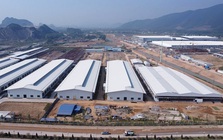 Nghệ An bứt phá 26 bậc, lọt top 3 thu hút FDI cả nước