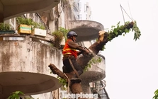 Hà Nội phá dỡ chung cư 51 Huỳnh Thúc Kháng sau 35 năm