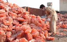 Một loại muối từ Himalaya được cả thế giới săn đón - xem cách khai thác mà nhiều người không tin vào mắt mình