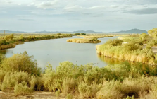 Phát hiện kho báu 'vàng trắng' 500 tỷ USD sâu dưới hồ, đủ dùng trong nhiều thập kỷ: Nguồn năng lượng cả nhân loại khao khát được mở khoá