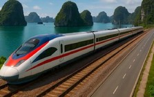 Tổng thầu đường sắt cao tốc của Vingroup tăng vốn lên 10.000 tỷ đồng, vượt mặt Coteccons, Hòa Bình, Đèo Cả...