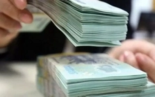 Tài chính Hoàng Huy, phân bón Bình Điền bị truy thu thuế