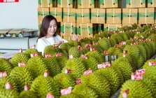 Thương mại Việt Nam - Trung Quốc tăng tốc kỷ lục