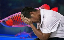 Nuôi cá rồng đỏ trị giá 170 triệu đồng suốt 4 năm, cá chết liền kiện công ty nước đòi bồi thường, tòa tuyên bố: Lỗi là do ông