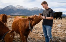 9 năm ám ảnh với vòng cổ bò, CEO 30 tuổi bị chê ngớ ngẩn khi khởi nghiệp, cuối cùng dựng lên startup 2 tỷ USD