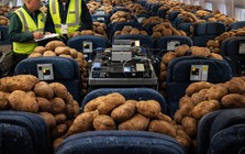 Thí nghiệm lạ của Boeing: Lấp đầy khoang bay bằng khoai tây để đo tín hiệu Wi-Fi