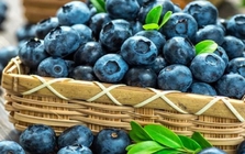 Mùa việt quất tươi đầy chợ, đừng chỉ ham quả to nhất: Người nông dân giàu kinh nghiệm cho biết "chỉ cần nhớ 4 điểm này!"