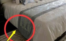Không phải mê tín, giờ mới biết vì sao nhiều nhà để 1 chậu nước dưới gầm giường